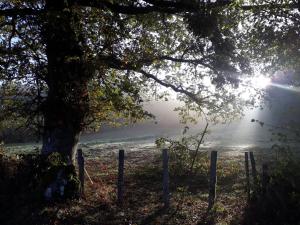 B&B / Chambres d'hotes Les Vergers de Cussy : photos des chambres
