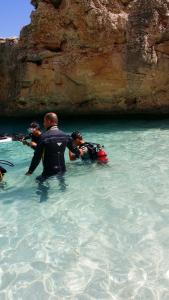 Eden portofrailis img19