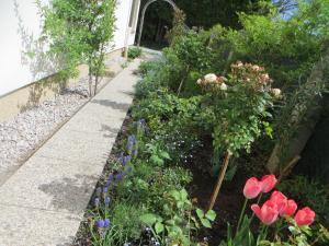 Premium City Apartment Amadeus