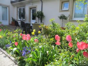 Premium City Apartment Amadeus