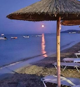 Corfu Olivia Apartments