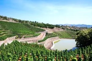 La Gelsomina - Etna - Presa