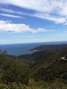 Appartements CAP d OSNE - BANYULS SUR MER - 2MN PLAGE : photos des chambres