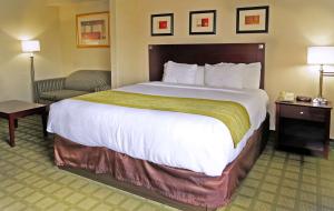 King Suite  - Non-Smoking room in Comfort Inn & Suites Southwest Freeway at Westpark