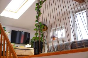 Loft Żuławy, apartament na wyłączność