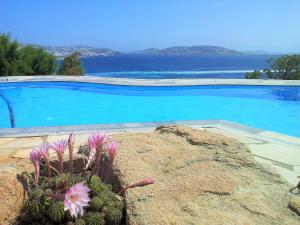 Adikri Villas & Studios Myconos Greece