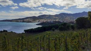 Appartements CAP d OSNE - BANYULS SUR MER - 2MN PLAGE : photos des chambres