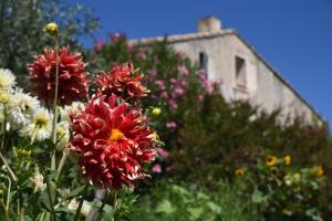 Maisons de vacances Gite Les Lavandes : photos des chambres