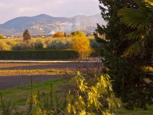 Il Bosco Agriturismo