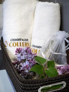 Maisons d'hotes Les Chambres du Champagne Collery : photos des chambres
