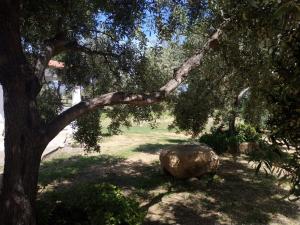 Vacanza in Ogliastra img21