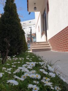 Vila M&G Mamaia Nord