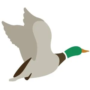 B&B Le Col-vert - Case del Bevano