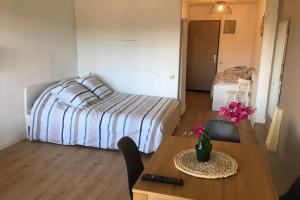 Magnifique Studio Cassis