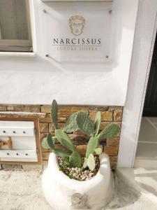 Narcissus Luxury Suites Naxos Greece