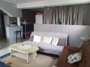Appartements Le Trefle d'Or : photos des chambres