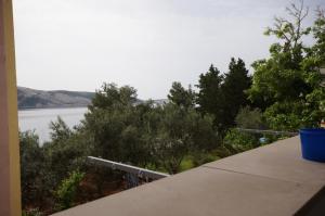 Apartment in Stara Novalja with sea view, loggia, air conditioning, WiFi (183-1)