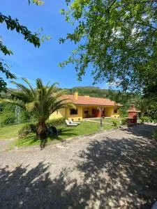 Finca La Cuesta - Arriondas