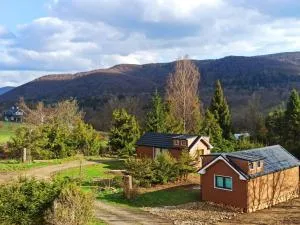 Wetlina 21 - Stakčín