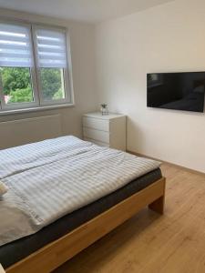 Apartmán Frymburk 30