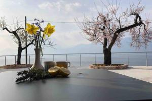 Villa Teresa - Appartamenti con vista lago