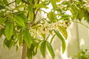 B&B / Chambres d'hotes Domaine Cap Rubis : photos des chambres