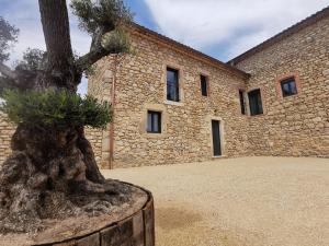 Maisons de vacances Le Domaine du Grand Cru : photos des chambres