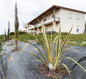 Maisons de vacances La Decouverte, Jacuzzi, Sauna, et Terrasse avec vue sur lac a la campagne entre Toulouse et Auch : photos des chambres
