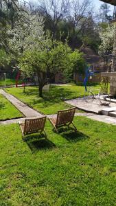 Šumski Raj- Forest Paradise