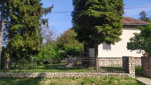 Šumski Raj- Forest Paradise