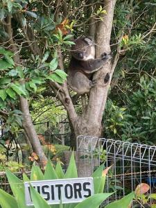 Adelaide Hills B&B Accommodation