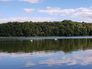 DOMEK W JERSEY PRZY PLAŻY