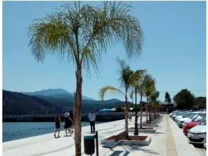 Elektra's apartment central with parking - Argostoli