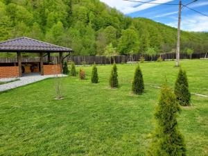 Pensiunea Perla Râușor