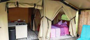 Campings Camping des vignes : photos des chambres