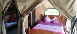 Campings Camping des vignes : photos des chambres