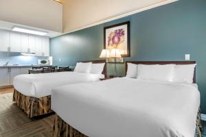 Econo Lodge Inn & Suites