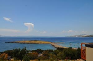 Klenovica Queen 42 Premium