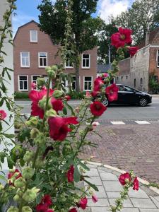 Apartment Bolwerkzicht