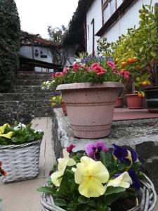 Ubytovanie v Banskej Štiavnici u Antalov