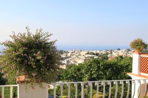 Double or Twin Room with Sea View room in B&B Il Grappolo