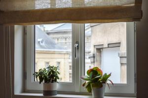 Appartements Les Berceaux de la Cathedrale : photos des chambres