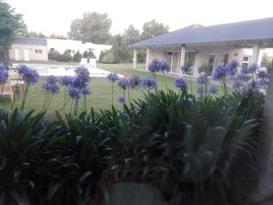 Villa Clarita Tandil