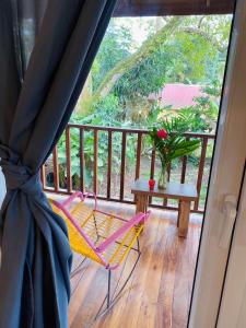 Tortuguero Casa Pelican