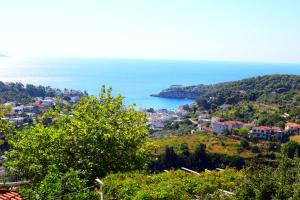 Rizos Veranda - Rooms and Restaurant Alonissos Greece