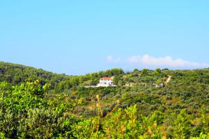 Rizos Veranda - Rooms and Restaurant Alonissos Greece