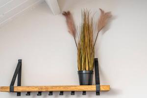 2-4 persoons Appartement in Westkapelle