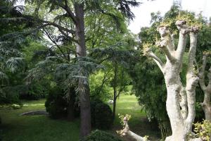 Hotels L'Oree Du Chateau : photos des chambres