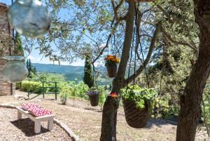 Casa il Cipresso, in the heart of Chianti with swimming pool