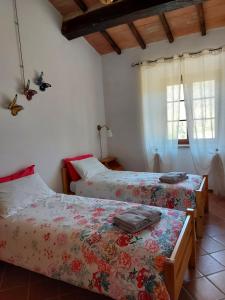 Agriturismo Capannacce